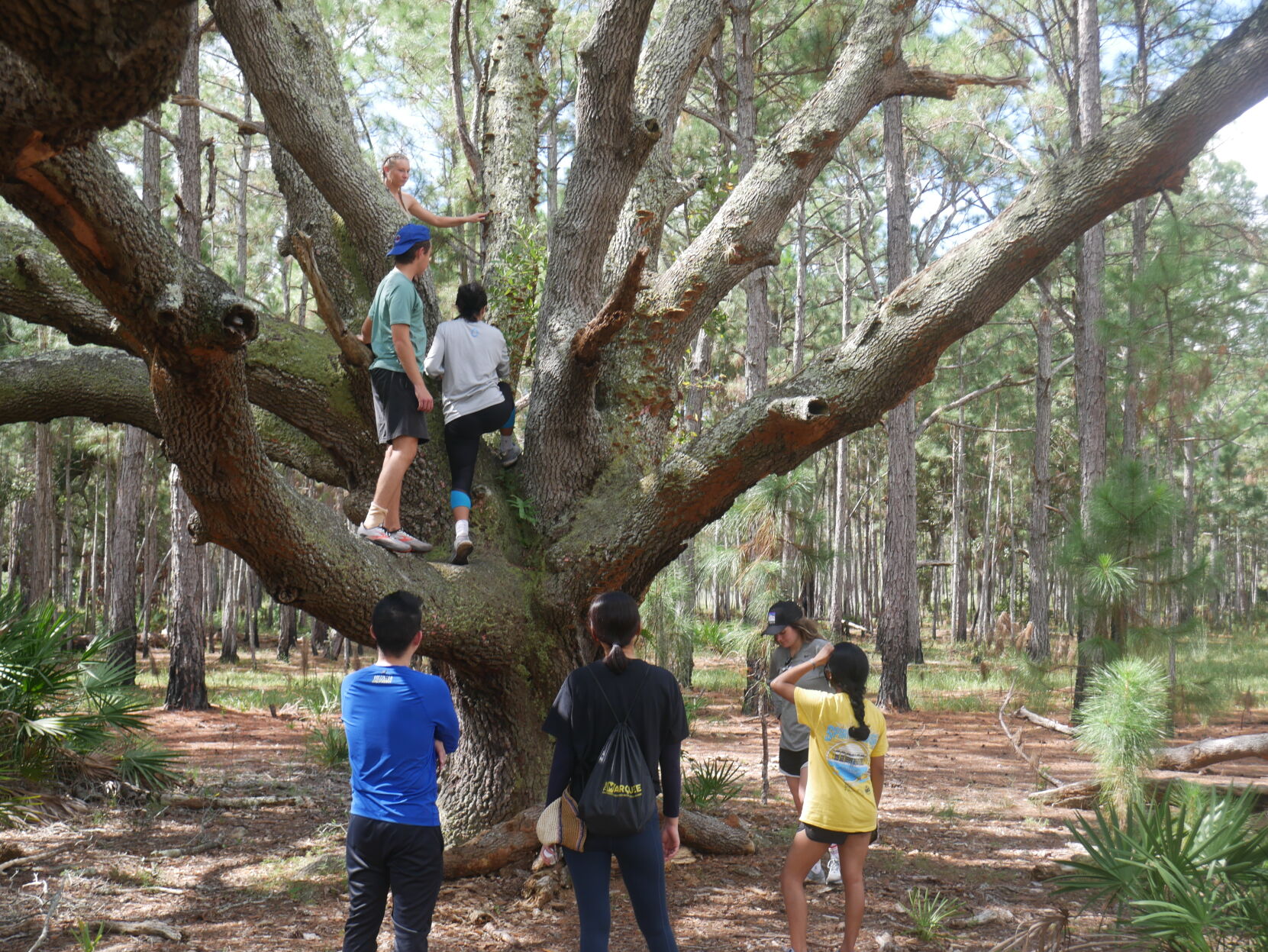 (this one) Hiking through the land of underrepresentation and local Orlando